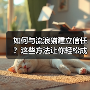 如何与流浪猫建立信任？这些方法让你轻松成为它们朋友（图4）