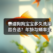 泰迪狗狗宝宝多久洗澡最合适？年龄与频率全解析