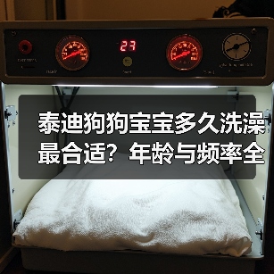 泰迪狗狗宝宝多久洗澡最合适？年龄与频率全解析（图4）
