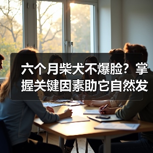 六个月柴犬不爆脸？掌握关键因素助它自然发育（图2）