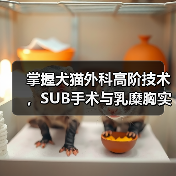 掌握犬猫外科高阶技术，SUB手术与乳糜胸实操班！柯肖老师亲授，全国重修！（图2）