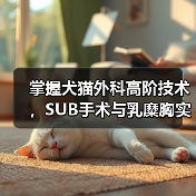 掌握犬猫外科高阶技术，SUB手术与乳糜胸实操班！柯肖老师亲授，全国重修！（图4）