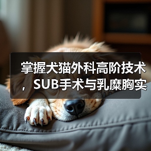 掌握犬猫外科高阶技术，SUB手术与乳糜胸实操班！柯肖老师亲授，全国重修！（图3）