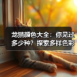 龙猫颜色大全：你见过多少种？探索多样色彩魅力