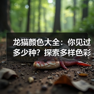 龙猫颜色大全：你见过多少种？探索多样色彩魅力（图4）