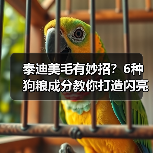 泰迪美毛有妙招？6种狗粮成分教你打造闪亮毛发（图2）