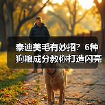 泰迪美毛有妙招？6种狗粮成分教你打造闪亮毛发（图4）