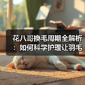 花八哥换毛周期全解析：如何科学护理让羽毛更健康