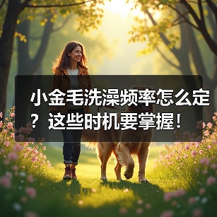 小金毛洗澡频率怎么定？这些时机要掌握！（图2）