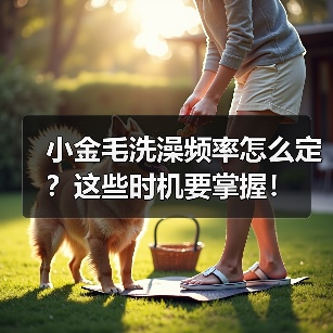 小金毛洗澡频率怎么定？这些时机要掌握！（图3）