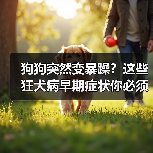 狗狗突然变暴躁？这些狂犬病早期症状你必须知道（图2）