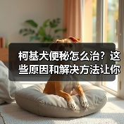 柯基犬便秘怎么治？这些原因和解决方法让你轻松应对（图3）