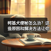 柯基犬便秘怎么治？这些原因和解决方法让你轻松应对（图4）
