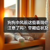 狗狗中风前这些表现你注意了吗？早期症状及时发现（图2）