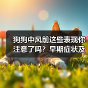 狗狗中风前有哪些表现？宠物主人必看