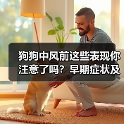 狗狗中风前这些表现你注意了吗？早期症状及时发现（图4）