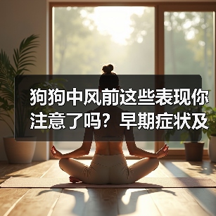 狗狗中风前这些表现你注意了吗？早期症状及时发现（图3）