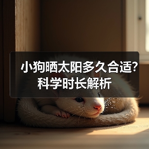 小狗晒太阳多久合适？最佳时间和注意事项
