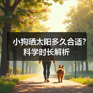小狗晒太阳多久合适？科学时长解析（图2）