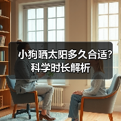 小狗晒太阳多久合适？科学时长解析（图4）