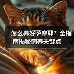 怎么养好萨摩耶？全指南揭秘饲养关键点（图4）