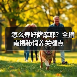 怎么养好萨摩耶？全指南揭秘饲养关键点（图3）