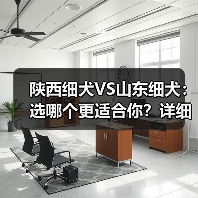 陕西细犬VS山东细犬：选哪个更适合你？详细对比指南（图4）