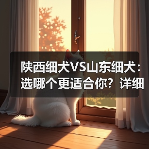 陕西细犬VS山东细犬：选哪个更适合你？详细对比指南（图3）