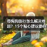 带狗狗旅行怎么解决难题？15个贴心建议助你轻松出行（图3）