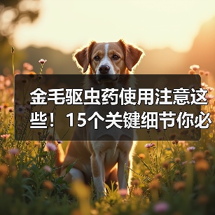 金毛驱虫药使用注意这些！15个关键细节你必须知道（图3）