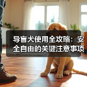 导盲犬使用全攻略：安全自由的关键注意事项