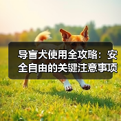 导盲犬使用全攻略：安全自由的关键注意事项（图3）