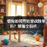 细狗如何用智慧战胜笨狗？策略全解析（图3）