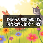 心脏病犬咬伤后如何实现有效保守治疗？海泊舒应用案例解析（图4）