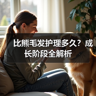 比熊毛发护理多久？成长阶段全解析