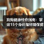 狗狗健康检查指南：掌握15个身体指标确保健康（图4）