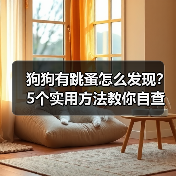 狗狗有跳蚤怎么发现？5个实用方法教你自查