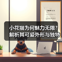 小花猫为何魅力无限？解析其可爱外形与独特个性（图4）