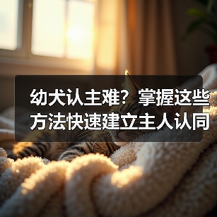 幼犬认主方法有哪些？15个技巧建立信任关系