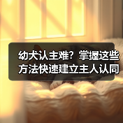 幼犬认主难？掌握这些方法快速建立主人认同感并适应新环境（图3）