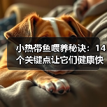 小热带鱼喂养秘诀：14个关键点让它们健康快乐（图4）