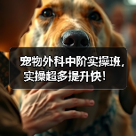 宠物外科中阶实操班，实操超多提升快！（图3）
