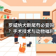 罗威纳犬断尾有必要吗？手术技术与动物福利的平衡探讨