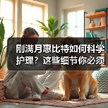 刚满月惠比特如何科学护理？这些细节你必须知道（图2）