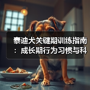 泰迪犬关键期训练指南：成长期行为习惯与科学养护（图3）