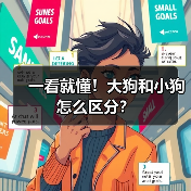 一看就懂！大狗和小狗怎么区分？（图4）