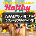 狗狗螨虫怎么治？症状识别与康复步骤全解析（图2）