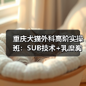 重庆犬猫外科高阶实操班：SUB技术+乳糜胸实战演练全解析（图2）