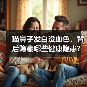 猫鼻子发白没血色，背后隐藏哪些健康隐患？（图2）