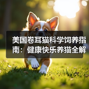 美国卷耳猫科学饲养指南：健康快乐养猫全解析（图3）